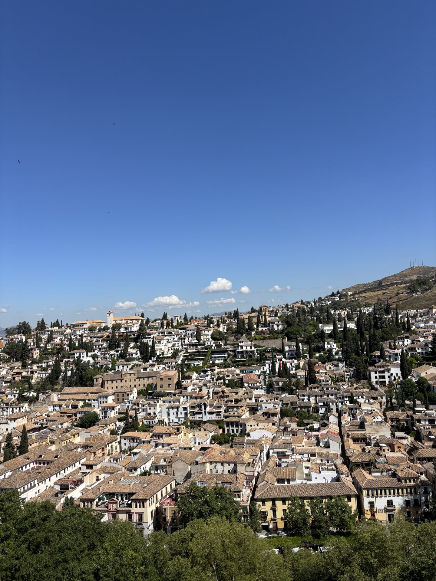 VIERNES: CONOCIENDO EL ENCANTO DE GRANADA